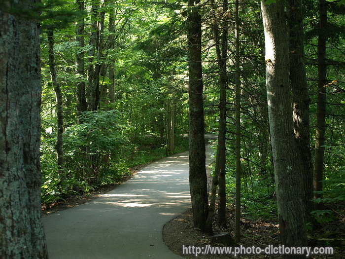 trail - photo/picture definition - trail word and phrase image