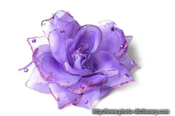 flower hair clip - photo/picture definition at Photo Dictionary