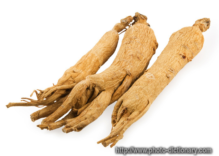 ginseng roots - photo/picture definition - ginseng roots word and phrase image
