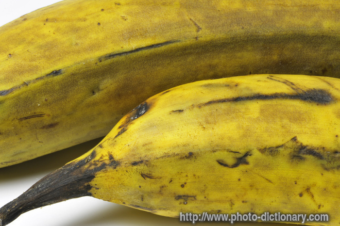plantain bananas - photo/picture definition - plantain bananas word and phrase image