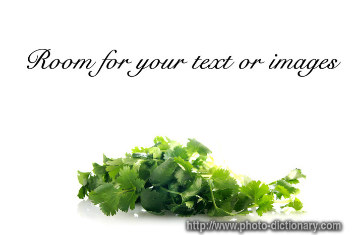 cilantro - photo/picture definition - cilantro word and phrase image