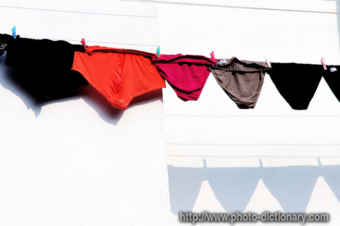 underpants - photo/picture definition - underpants word and phrase image