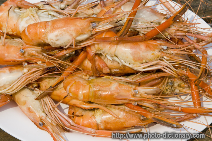 boiled shrimp - photo/picture definition - boiled shrimp word and phrase image