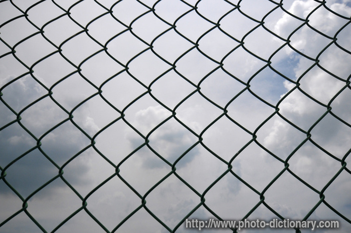 wire mesh fencing - photo/picture definition - wire mesh fencing word and phrase image