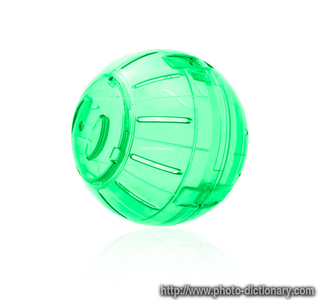 hamster ball - photo/picture definition - hamster ball word and phrase image