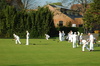 lawn bowling - photo/picture definition - lawn bowling word and phrase image
