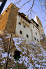 Bran castle - photo/picture definition - Bran castle word and phrase image