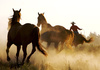 wild west - photo/picture definition - wild west word and phrase image