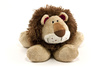 cuddly lion - photo/picture definition - cuddly lion word and phrase image