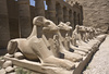 Karnak temple - photo/picture definition - Karnak temple word and phrase image