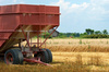 farm trailer - photo/picture definition - farm trailer word and phrase image