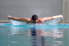 butterfly stroke - photo/picture definition - butterfly stroke word and phrase image