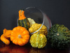 Halloween stripe pumpkin - photo/picture definition - Halloween stripe pumpkin word and phrase image