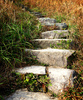 outdoor stair - photo/picture definition - outdoor stair word and phrase image