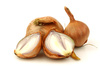 shallots - photo/picture definition - shallots word and phrase image