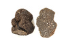 winter truffle - photo/picture definition - winter truffle word and phrase image