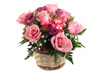pink roses - photo/picture definition - pink roses word and phrase image