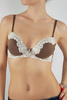 bra - photo/picture definition - bra word and phrase image