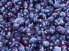 currant berries - photo/picture definition - currant berries word and phrase image