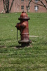 hydrant - photo/picture definition - hydrant word and phrase image
