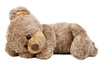 teddy bear - photo/picture definition - teddy bear word and phrase image