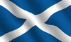 Scottish flag - photo/picture definition - Scottish flag word and phrase image