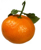 tangerine - photo/picture definition - tangerine word and phrase image
