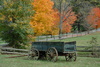 wagon - photo/picture definition - wagon word and phrase image
