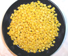 maize - photo/picture definition - maize word and phrase image