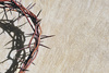 crown of thorns - photo/picture definition - crown of thorns word and phrase image