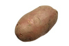 potato - photo/picture definition - potato word and phrase image