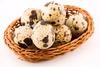 quail eggs - photo/picture definition - quail eggs word and phrase image