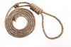 hangman's noose - photo/picture definition - hangman's noose word and phrase image