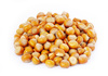 Hazelnuts - photo/picture definition - Hazelnuts word and phrase image