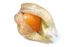 physalis - photo/picture definition - physalis word and phrase image