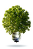 eco energy - photo/picture definition - eco energy word and phrase image