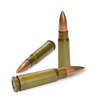 bullets - photo/picture definition - bullets word and phrase image