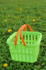 plastic basket - photo/picture definition - plastic basket word and phrase image