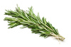 rosemary - photo/picture definition - rosemary word and phrase image