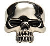 silver skull - photo/picture definition - silver skull word and phrase image