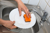 washing plate - photo/picture definition - washing plate word and phrase image