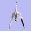 white crane - photo/picture definition - white crane word and phrase image