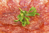 salami texture - photo/picture definition - salami texture word and phrase image