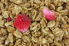 strawberry granola - photo/picture definition - strawberry granola word and phrase image