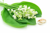 lily of the valley - photo/picture definition - lily of the valley word and phrase image
