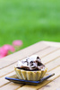 chocolate tart - photo/picture definition - chocolate tart word and phrase image