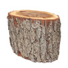 stump - photo/picture definition - stump word and phrase image