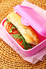 lunch box - photo/picture definition - lunch box word and phrase image