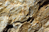 stone texture - photo/picture definition - stone texture word and phrase image