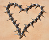 spiny heart - photo/picture definition - spiny heart word and phrase image